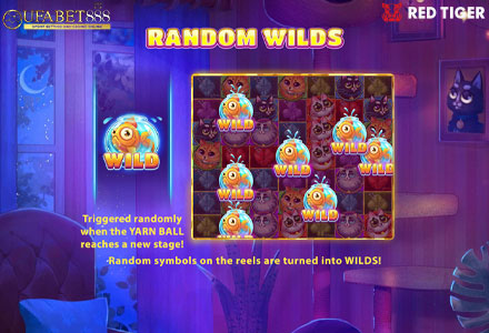 ฟีเจอร์ Random Wilds
