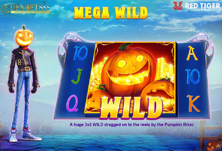 ฟีเจอร์ Mega Wild LH