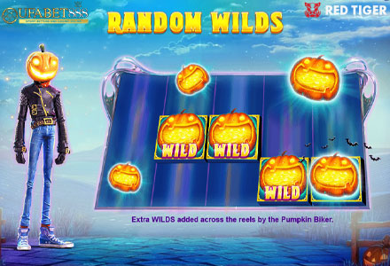 ฟีเจอร์ Random Wilds LH