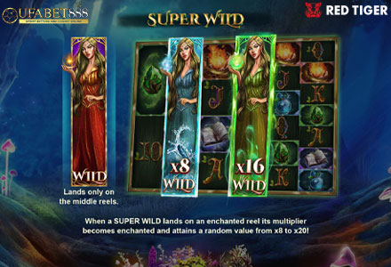 ฟีเจอร์ Super Wild