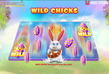 ฟีเจอร์ Wild Chicks