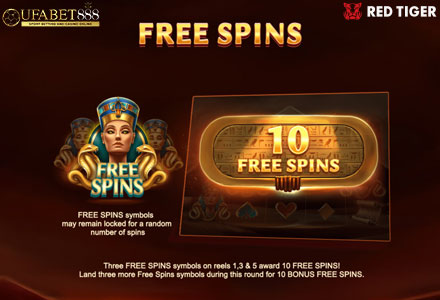 ฟีเจอร์ Free Spins MP