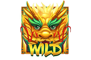 สัญลักษณ์ Wild MD