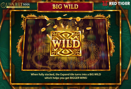 ฟีเจอร์ Big Wild MS
