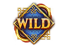 สัญลักษณ์ Wild MS