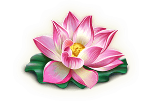 สัญลักษณ์ ดอกบัว